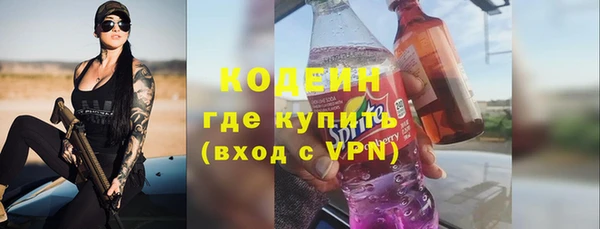 сатива Гатчина