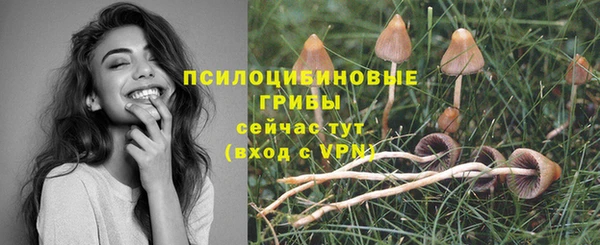 прущие крисы Баксан