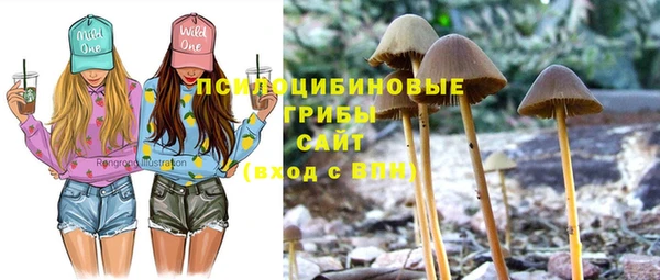 дживик Балахна