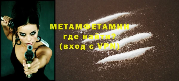 сатива Гатчина