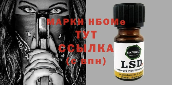 сатива Аркадак